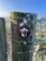 ree