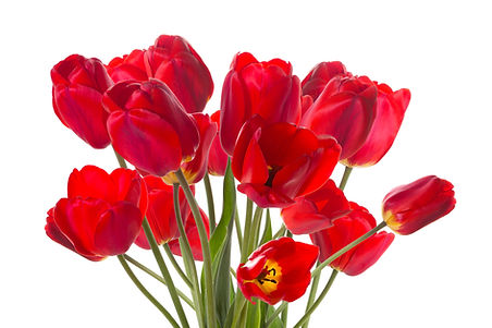 Red Tulips Bouquet