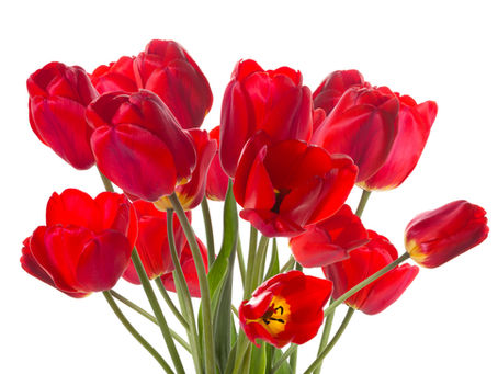 41 Meanings for the Colour Red