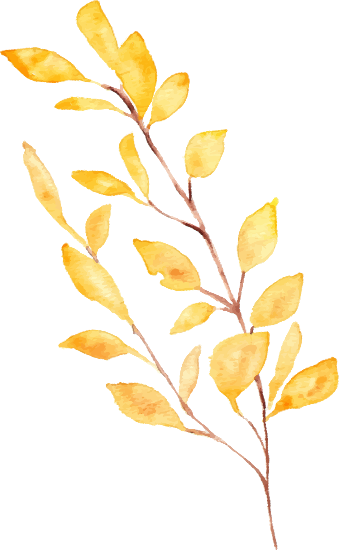 アセット 10_edited.png