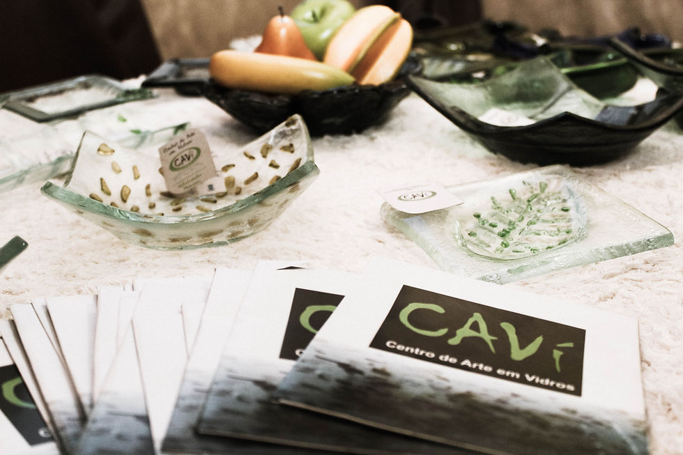 CAVI 14