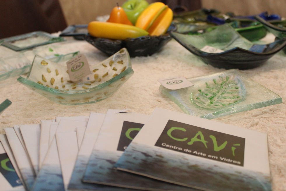 CAVI 14