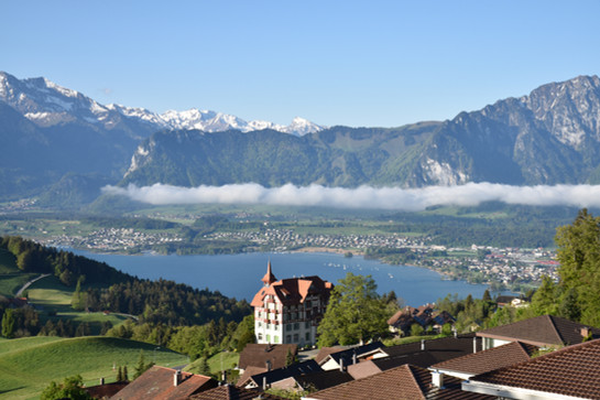 Goldiwil