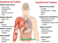 Les signes que votre corps est trop acide