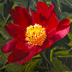 Lori Myers Peony Splendor Oil $225