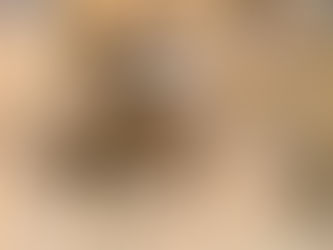 Lionne et lionceau blottis, symbole de transmission patrimoniale familiale