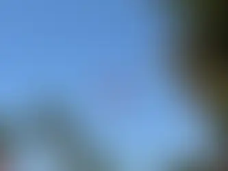 Türkiye'nin E-Ticaret İnovasyonları: Geleceğe Yön Veren Girişimler