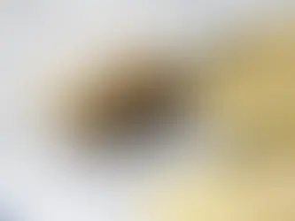 E-Ticarette Veri Güvenliği: Müşteri Güvenini Arttırmanın Yolu