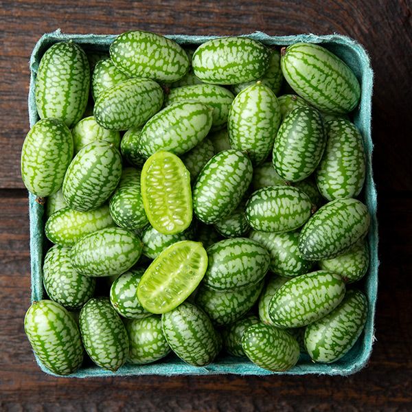 Concombre bio - Mexicain sour