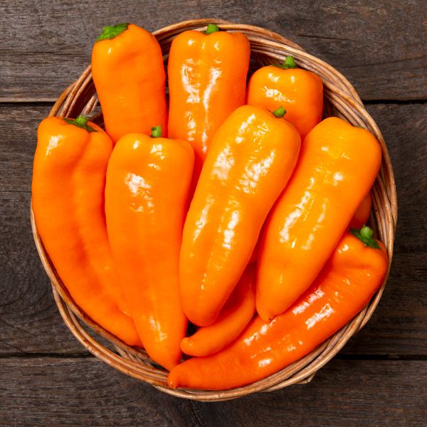 Poivron orange bio - cornito