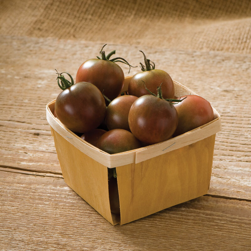 Tomate cerise bio - Black cherry