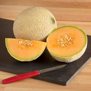 Cantaloup bio - Sugar cube