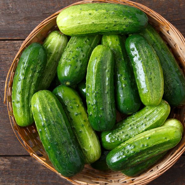 Cornichon bio