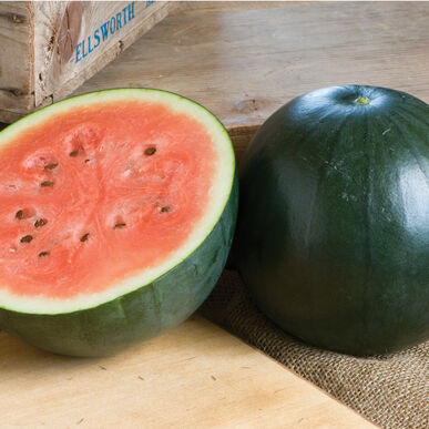 Melon d'eau rouge bio - Sugarbaby