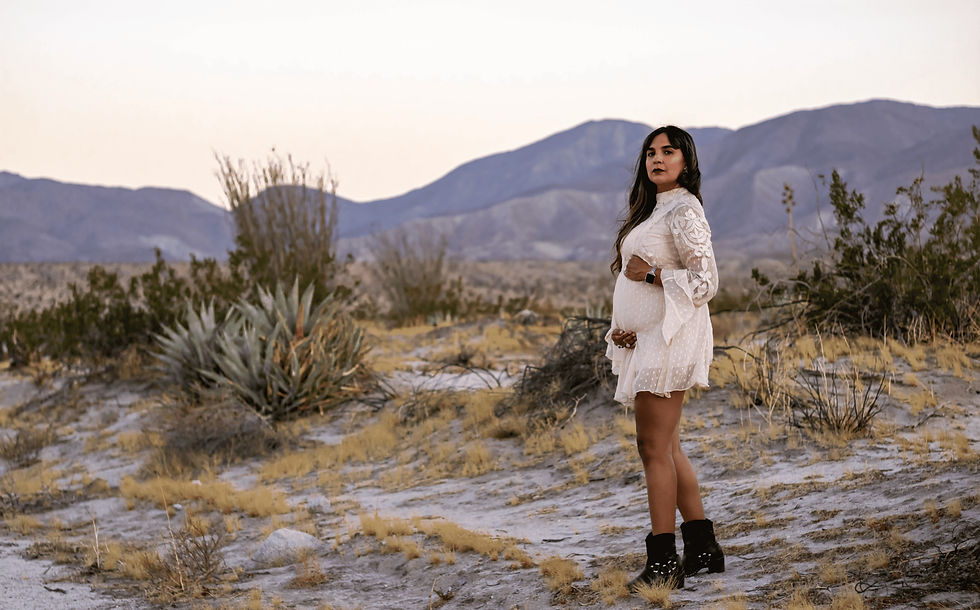 Borrego springs-17 (1)_edited.jpg