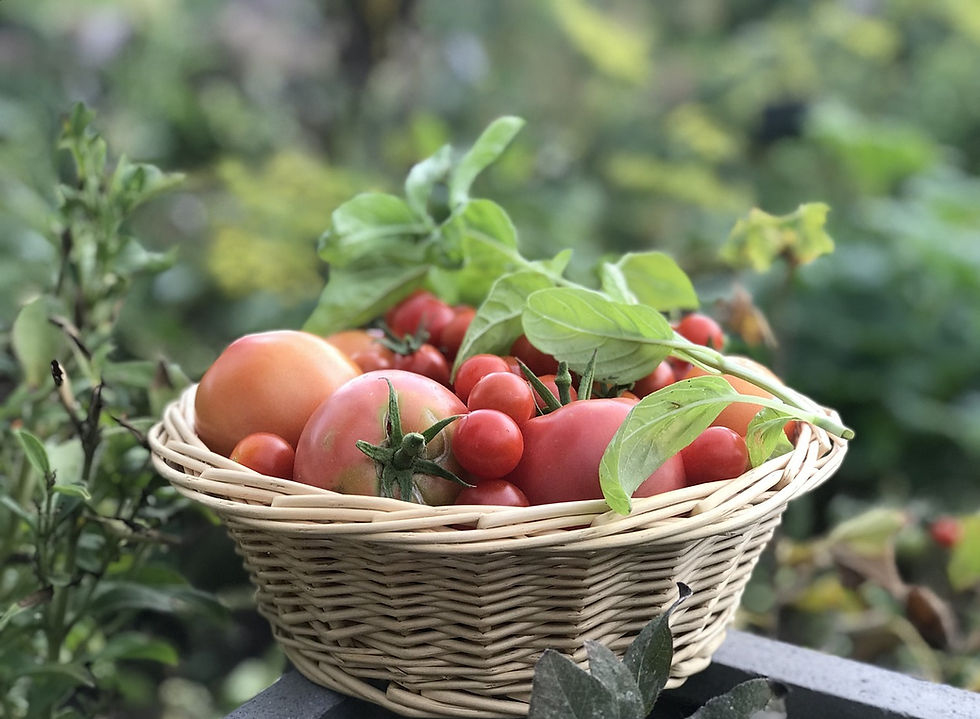 LAURA - Panier de légumes 10€