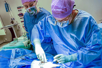 Fot og Ankel Spesialisten