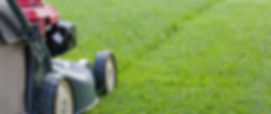Lawn Mowing Services