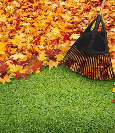 Leaf Removal Services - Military Lawn Cuts & Landscaping.