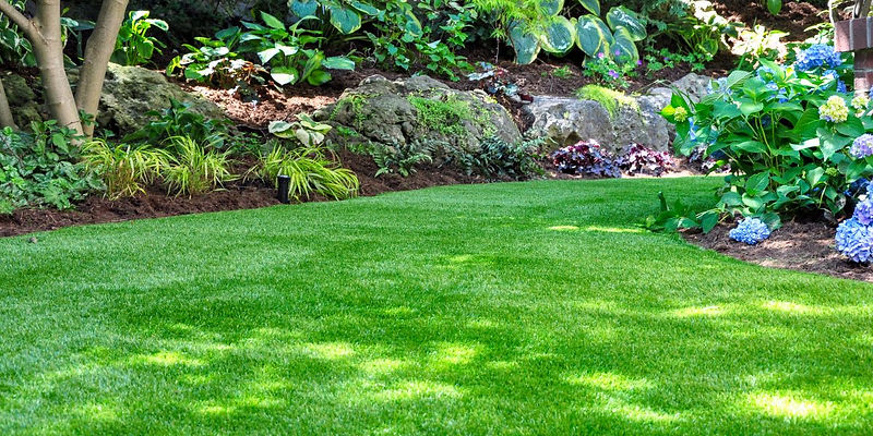 Military Lawn Cuts & Landscaping in Aubrey, TX