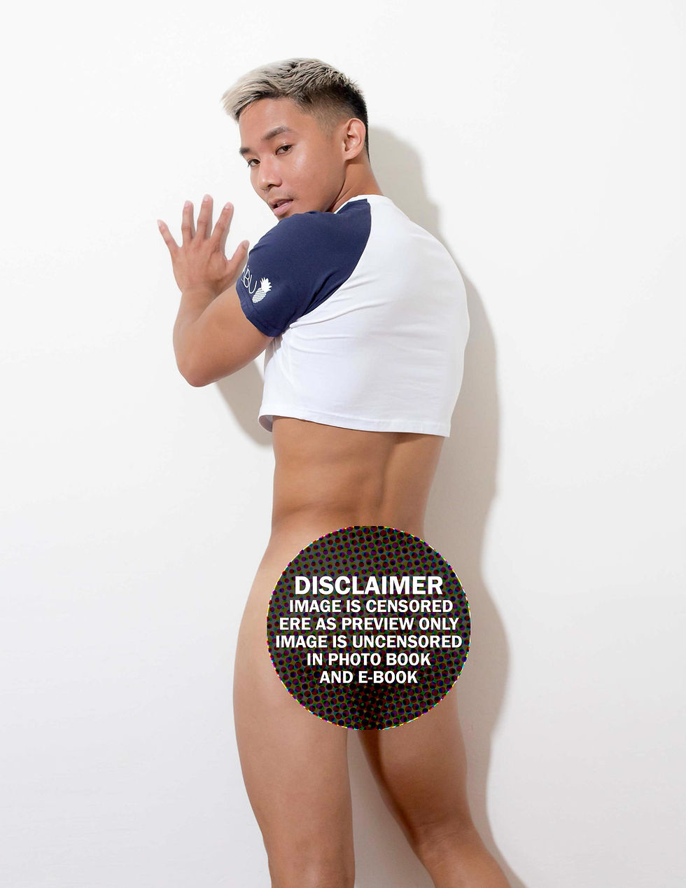 Thumbnail: The New Asian Men - EDRIC - PDF E-Book