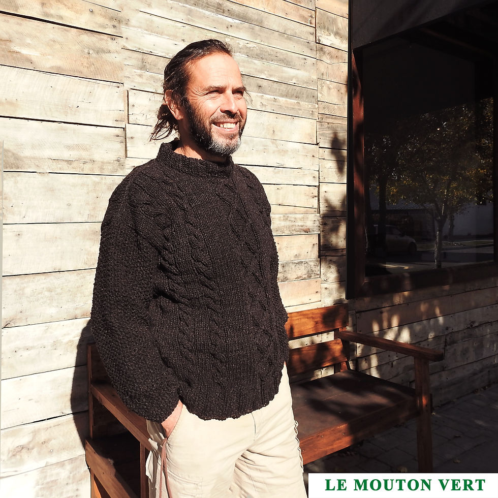 Miniatura: Sweater FRANCOIS