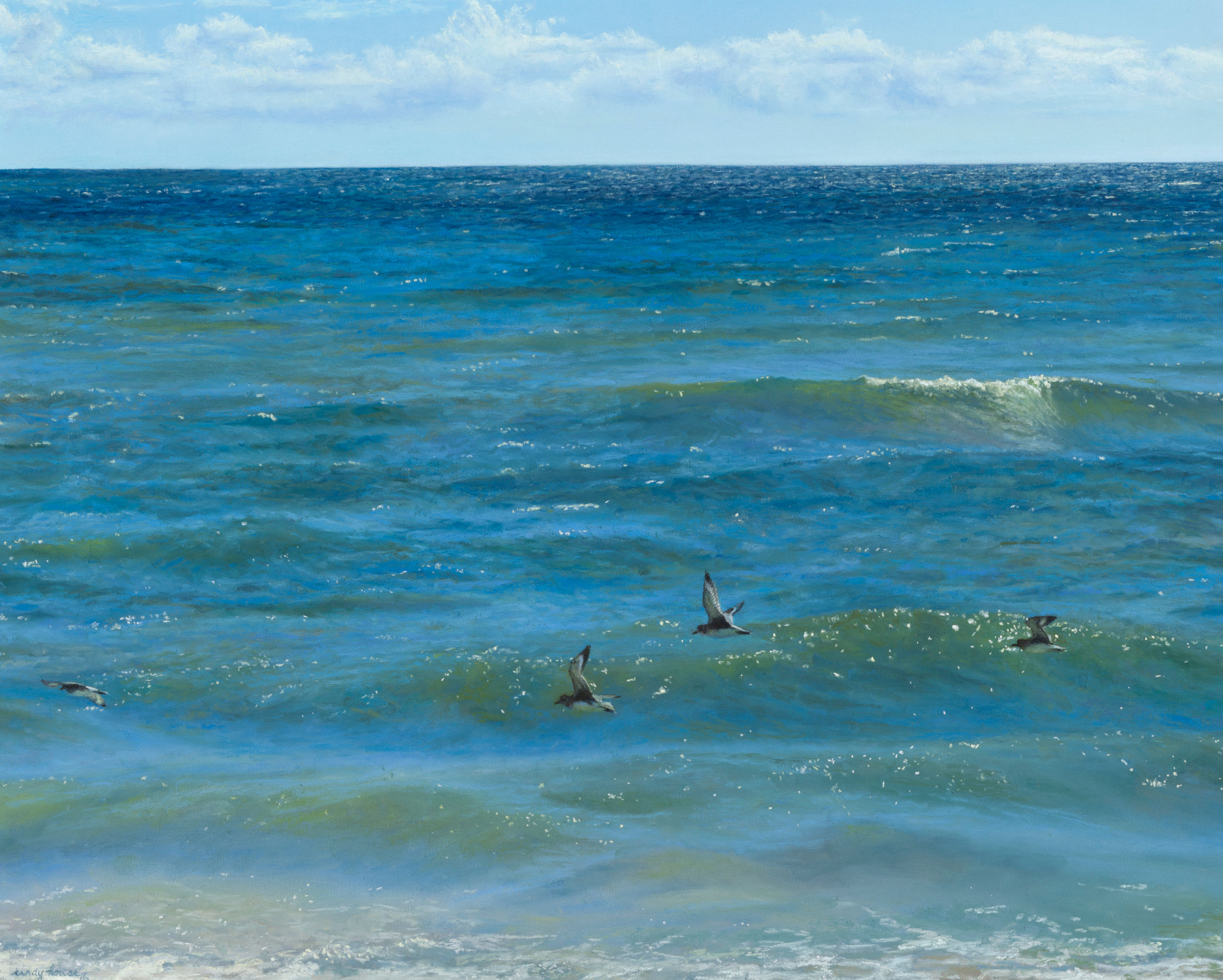 Black Bellied Plovers