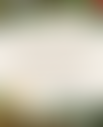 Feliz Natal e Próspero Ano Novo