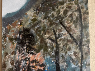 Snowy Forest Landscape