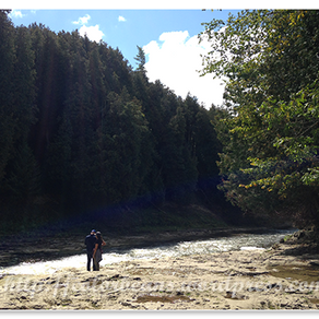 [Elora] Elora Gorge及Elora Farmer’s Market一日遊