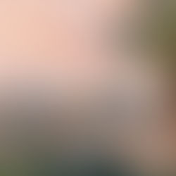 美国直击:加州房市太火了 一房源竟同时有65人竞投…