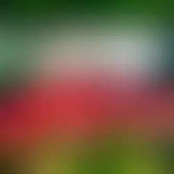 一枚：纽约中央公园的三个长椅