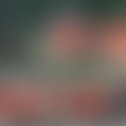 恶炒“俄乌战争”,美国伤了美股