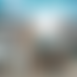 股市在2021年上半年表现强劲,哪些股票最突出?