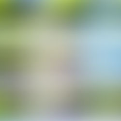 美国通胀创年内最小涨幅!纳指狂飙,12月加息50个基点稳了?