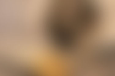 美股将迎史上最强劲财报季?这两个板块风险不得不防