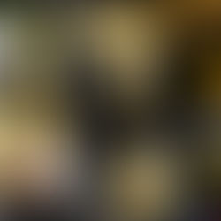 民企集体“躺平” 中国走了一条奇葩式反垄断之路