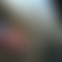 美股早知道:美股股指期货集体上扬,周二美股正常开市