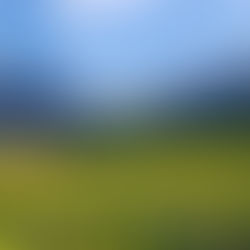 2015全世界投資移民風向標