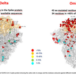 美联储观察:奥密克戎对美联储有何影响?