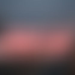 香港聪明人太多,币圈已无“韭菜”