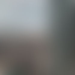 重磅 ◇ 加国财政4千亿大坑致预算案难产!未来回血全靠割房主韭菜?