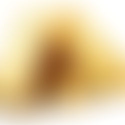 太意外!美数据连传坏消息、美联储突传“鸽”声 美元却扶摇直上、美股下挫至今年新低