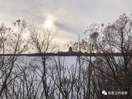 难得的疫情好时光（2020.11.23第62天）