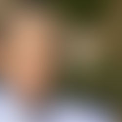 诺贝尔经济学奖得主席勒:美国经济可能陷衰退