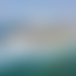 可怕:美国89艘邮轮爆疫 拟全面停航