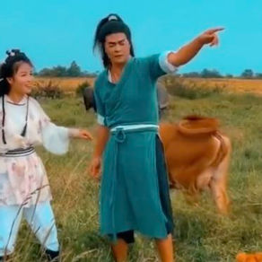 农夫村妇扮“神雕侠侣”开拖拉机窜红 网友“觉得浪漫”