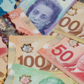 多少钱能移民加拿大?来看看加拿大老移民怎么说