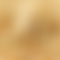 非农数据缓解刺激措施退出担忧,黄金从逾二周低位回升40美元