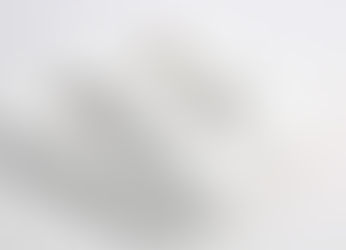 《随机漫步的傻瓜》